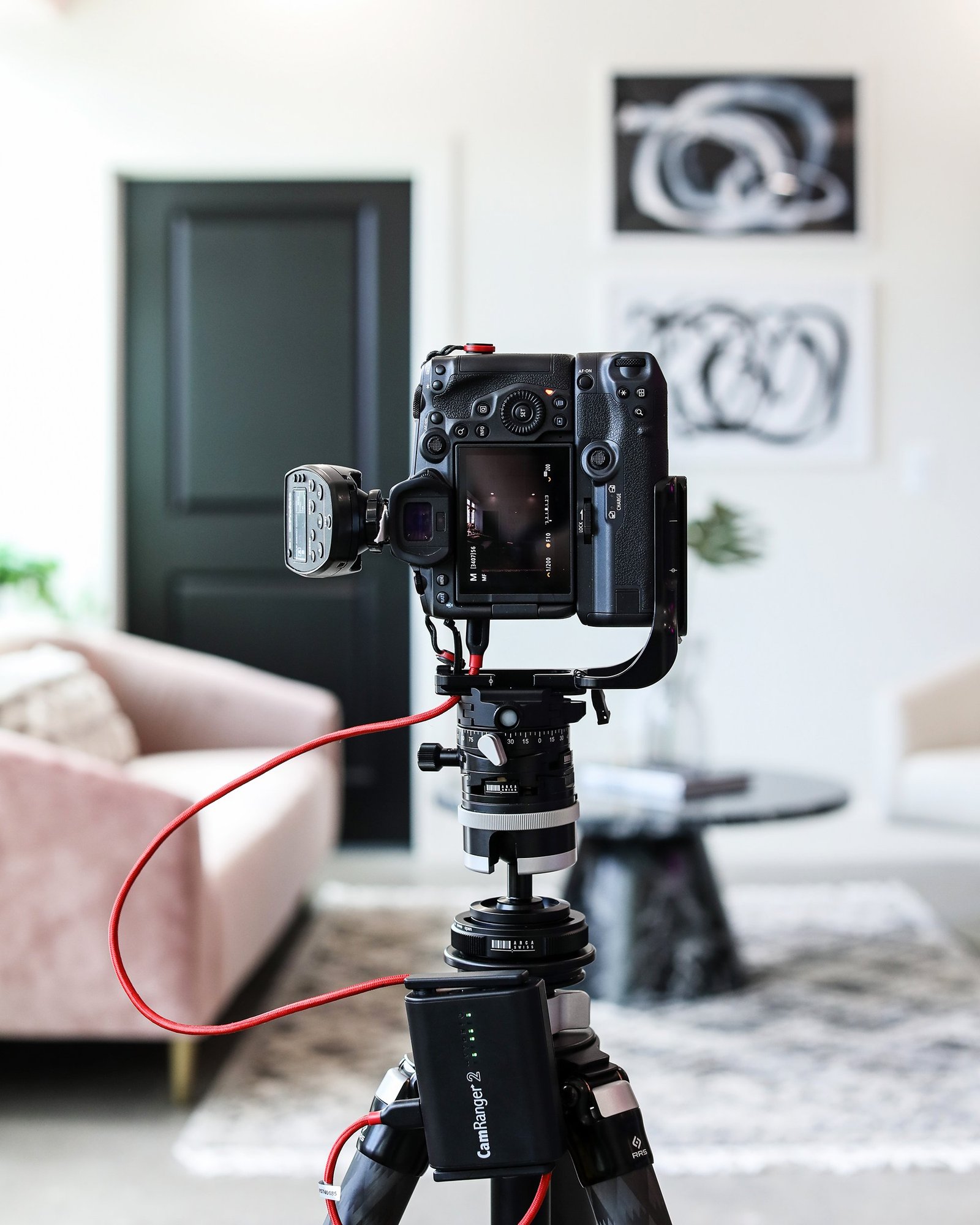 Professional real estate photographer at work